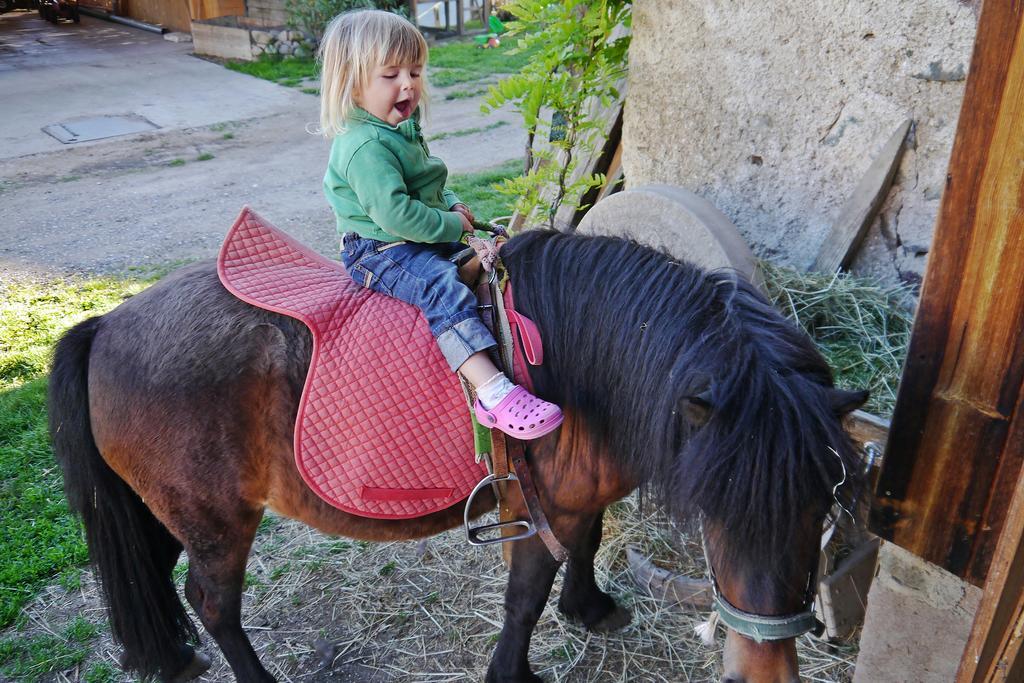 Ferienbauernhof Wieserhof Fiè Dış mekan fotoğraf