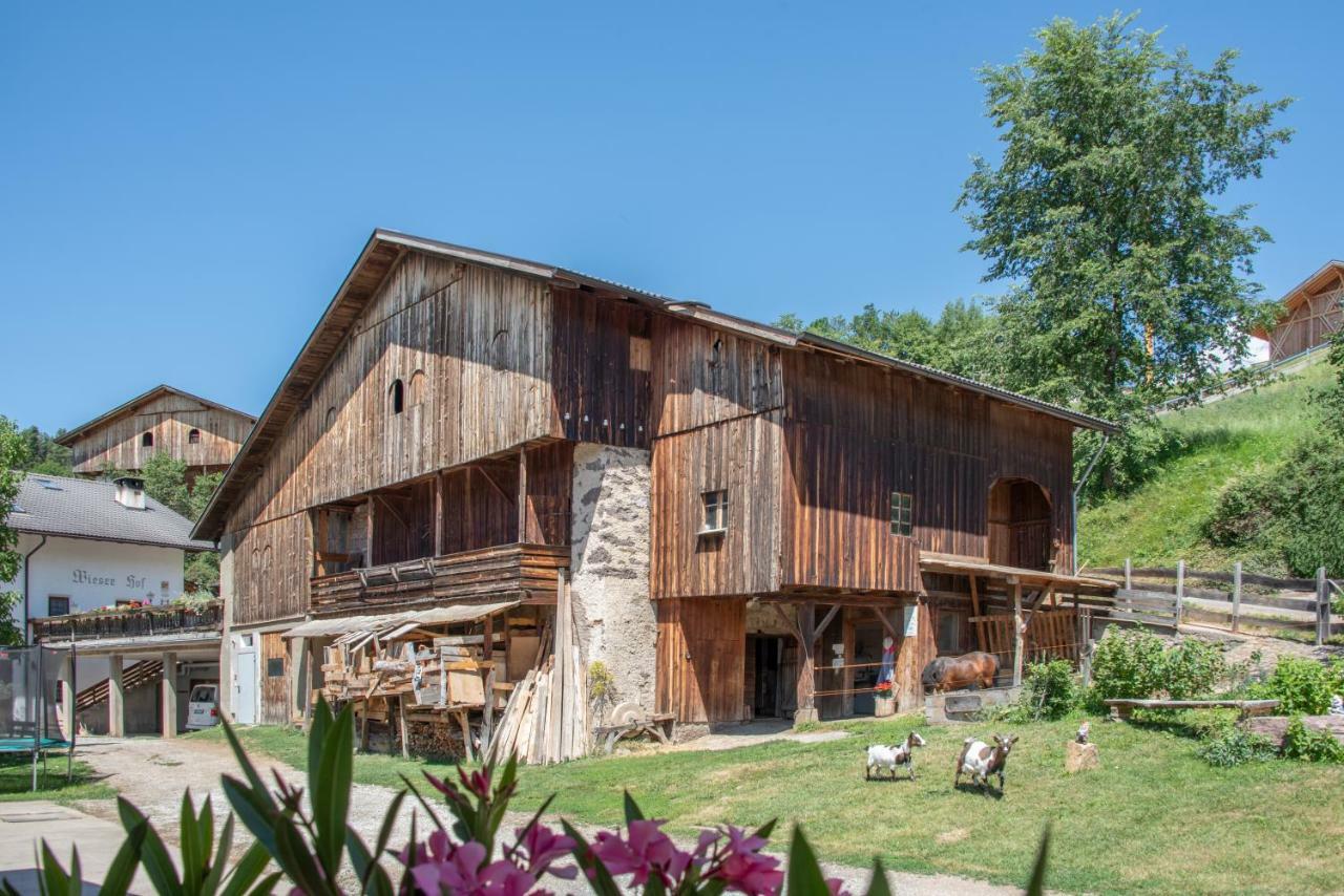 Ferienbauernhof Wieserhof Fiè Dış mekan fotoğraf