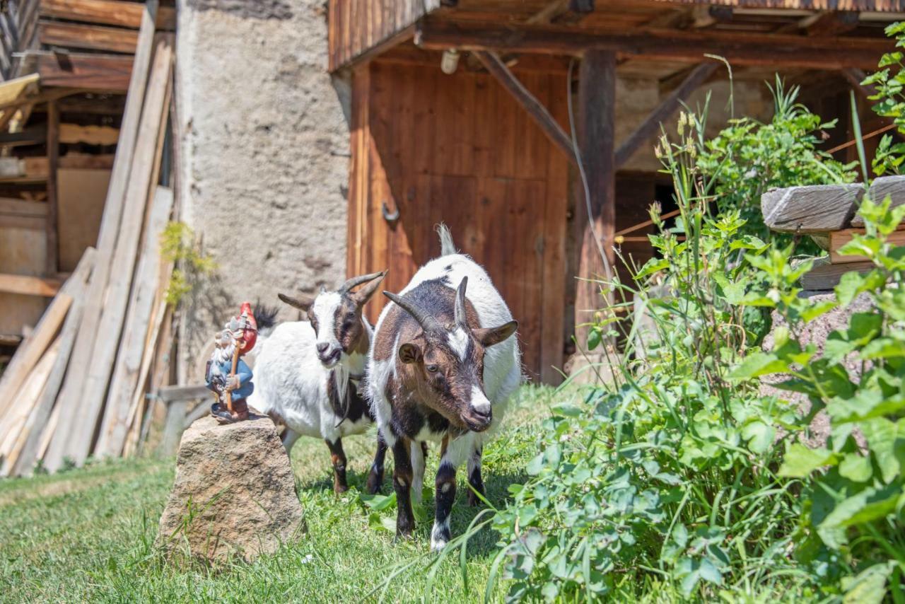 Ferienbauernhof Wieserhof Fiè Dış mekan fotoğraf